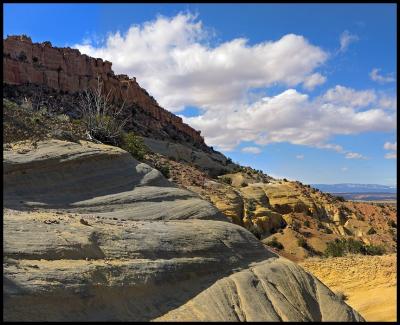 Yellow Buttes