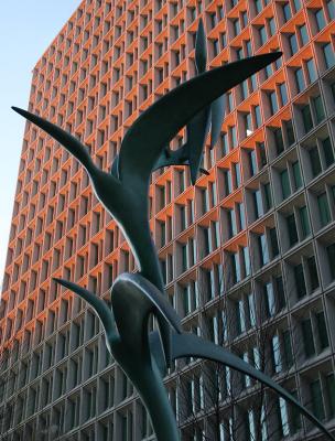 IMG_1175a.jpg