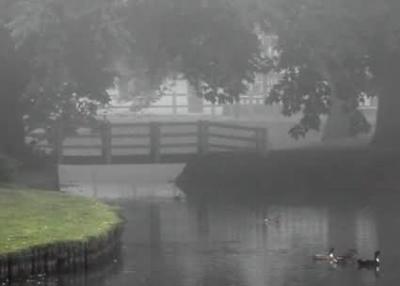 August mist 2