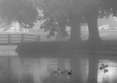 August mist