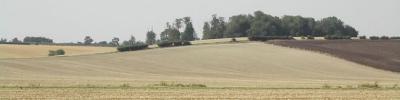 u17/azziria/medium/20246860.h6.jpg