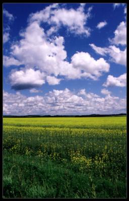 South of Loire Valley