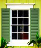 Window