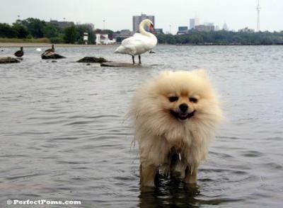 Aug29_038.jpg