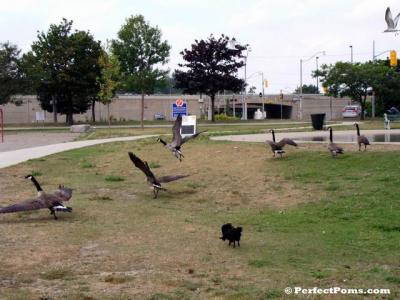 Aug29_048.jpg