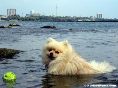 Aug29_350.jpg