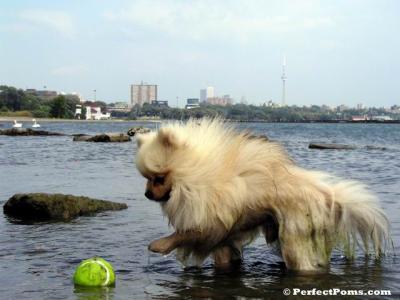 Aug29_358.jpg