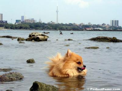 Aug29b_018.jpg