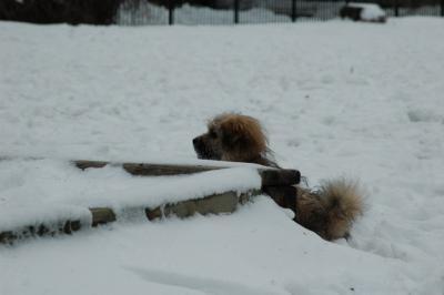 Jan29a_05_095.JPG
