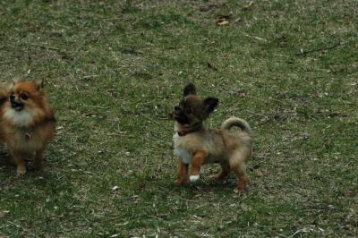 Apr26_05_040.JPG