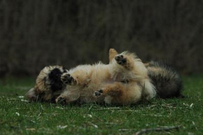 Apr26_05_378.JPG