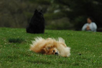 Apr26_05_388.JPG