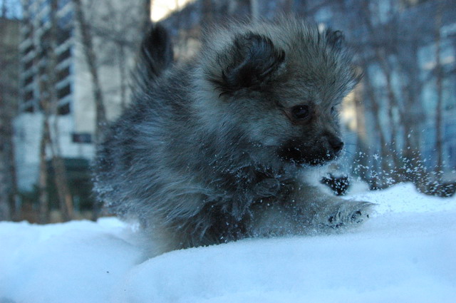 Jan30_05_097.JPG