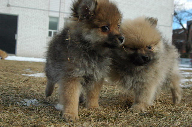Jan31_05_030.JPG