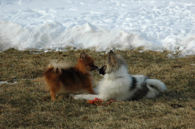 Jan31_05_080.JPG