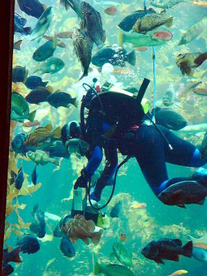 Monterey Bay Aquarium