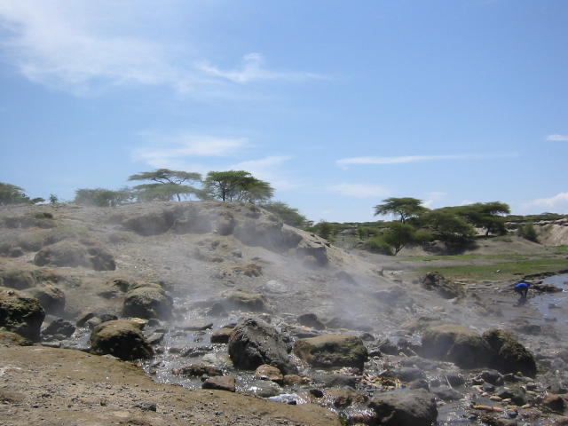 The streams that flow into the lake are extremely hot!  The locals bring corn on the cob and cook it right there on the steam!