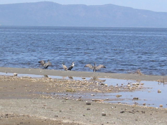 Lake Abiata