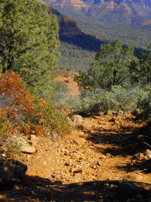We hiked up here, scrambled & climbed over other parts of the trail ...