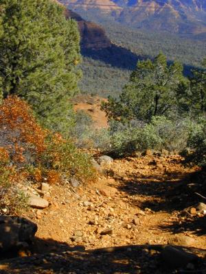 We hiked up here, scrambled & climbed over other  parts of the trail ...