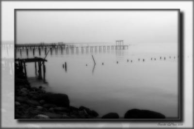 Foggy Morning in IR