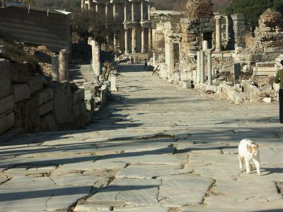 Ephesus 09.jpg