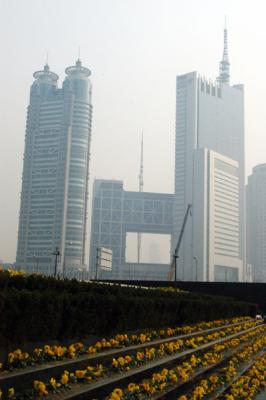 u17/bmcmorrow/medium/39185027.shanghaijan05090.jpg