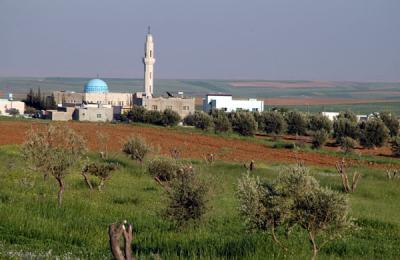 A mosque among fertile fields