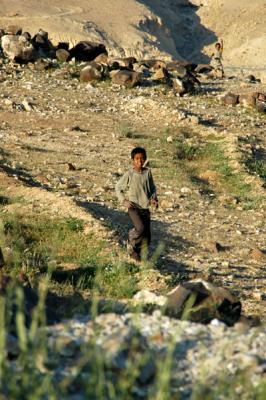 Boy in Wadi Mujib