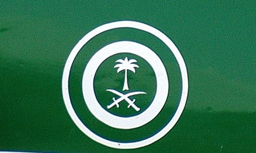Saudi Air Force marking - palm tree and crossed swords