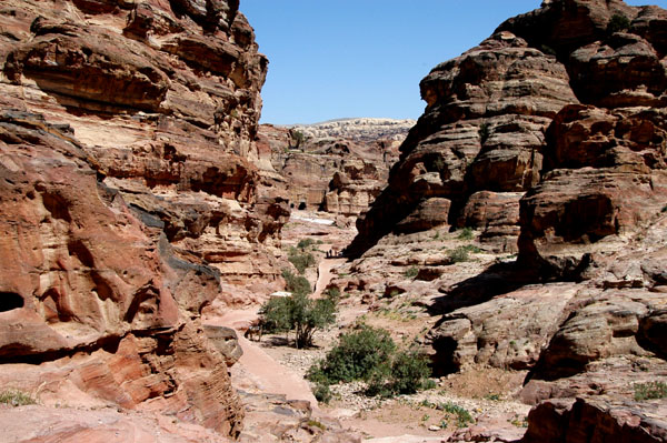 On the trail to the Monestary, Petra