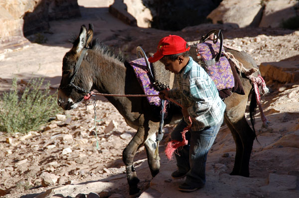 Boy with a donkey, Petra