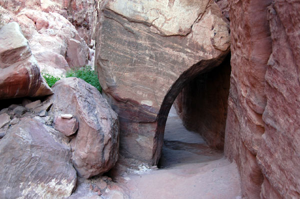 Narrowing of the Monastery trail