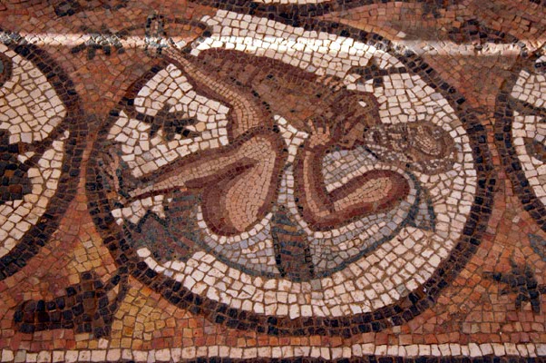 Mosaics in the Byzantine Petra Church