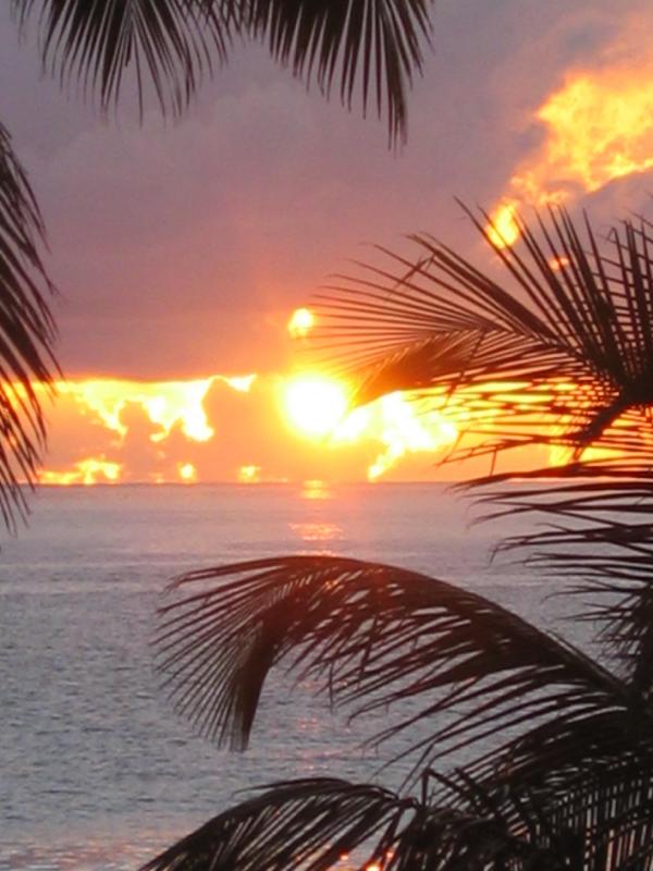 puerto rico 099.jpg