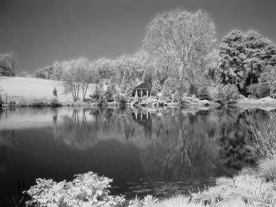 Lewis Ginter Infrared.jpg