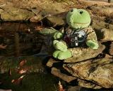 F.Stop  And Froggie Pond.jpg