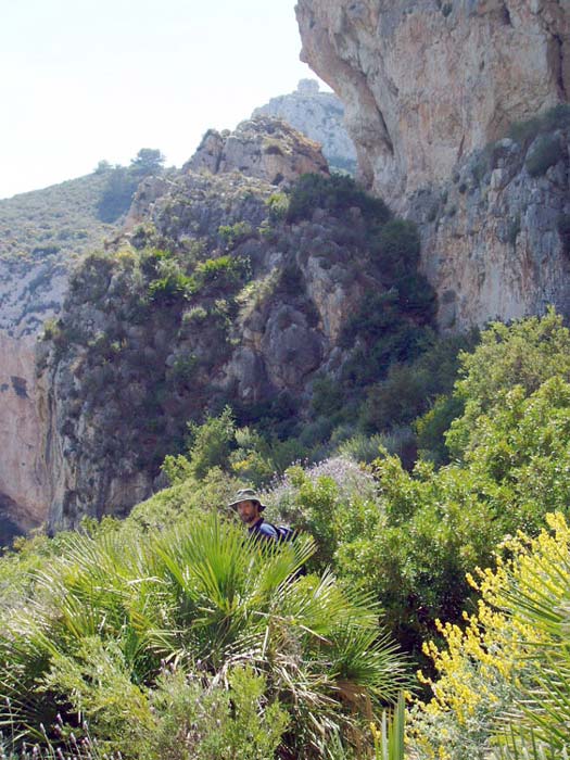 2005 Costa Blanca moriara gavin