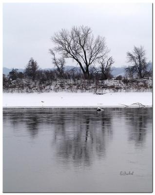 Grey Day on the Missouri River 2005