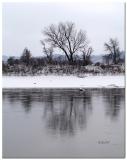 Grey Day on the Missouri River 2005