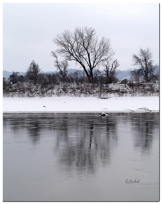 Grey Day on the Missouri River 2005