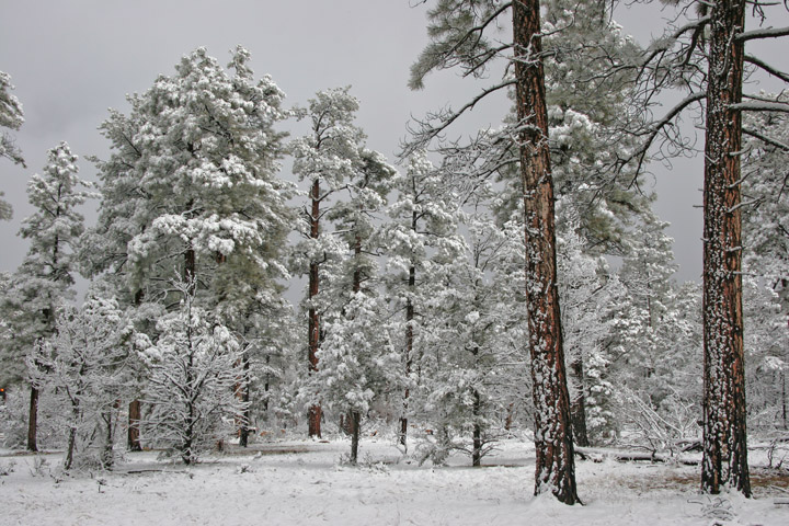 Just inside Natl Park boundary
