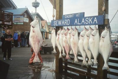 On the docks