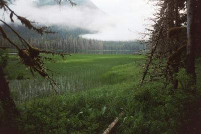 My Pictures0047.jpg