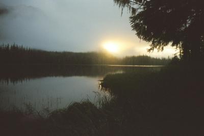 My Pictures0048.jpg