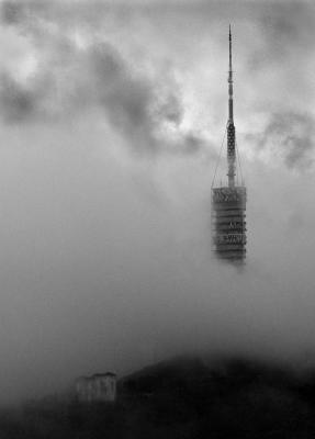 Collserola in the mist