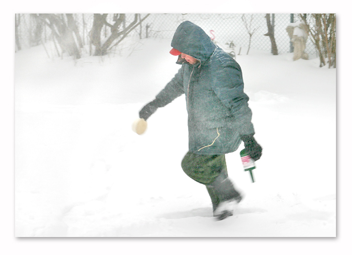 Winter Birdfeeding