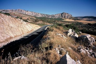 Andalucia: A367 running NE near Mt Colorado