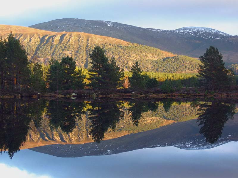 January Reflections