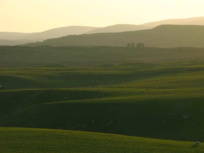 Late Spring Sunshine